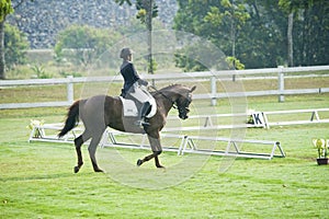 Equestrian Dressage