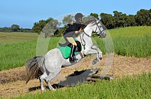 Equestrian eventing team on cross-country track