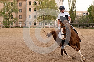 Equestrian executing a turn in a city sand arena