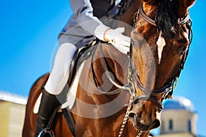 Equestrian feeling a little bit worried before participating in horserace