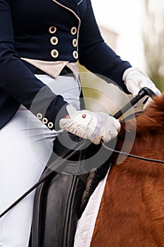 Equestrian in formal attire riding a chestnut horse