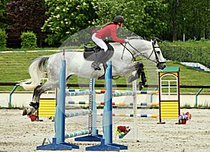 Equestrian girl horseback jumping obstacle