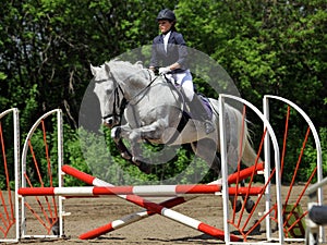 Equestrian girl jumping a horse over rails