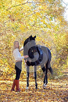 Equestrian  girl lead dressage horse in autumn woods