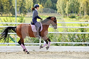 Equestrian girl riding sportive dressage horse