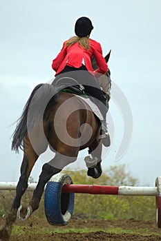 The equestrian and horse