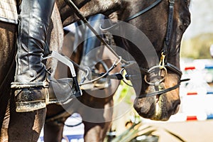 Equestrian Horse Rider Boots Closeup