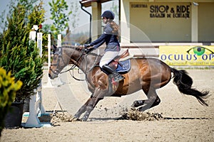 Equestrian Horse Rider stopping in front of the bars.Picture showing a competitor performing in show jumping competition