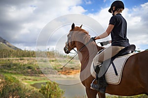 Equestrian, horse and woman riding in nature on adventure and journey in countryside. Ranch, animal and rider outdoor