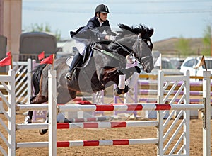 Equestrian horseback jumping obstacle