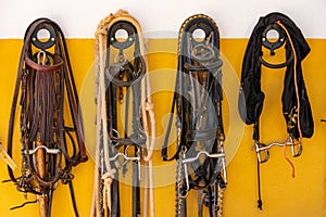 Equestrian implements hanging on a wall