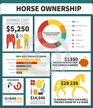 Equestrian infographic