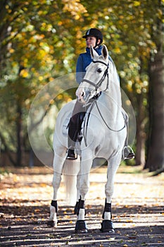 Equestrian lady riding white horseback in autumn alley