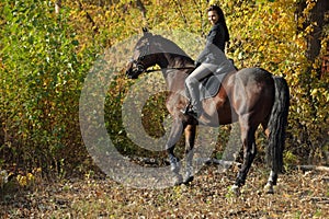 Equestrian model girl riding sportive dressage horse in autumn forest
