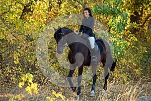 Equestrian model girl riding sportive dressage horse in autumn forest