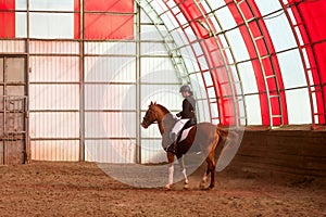 Equestrian performing dressage in arena