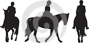 Equestrian rider photo