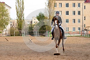 Equestrian rider and horse in action in city arena