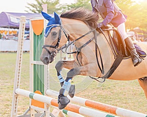 Equestrian rider horse jumping over hurdle obstacle during dressage test competition