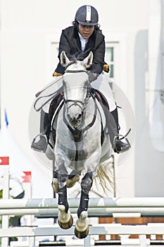 Equestrian Show Jumping