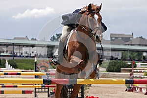 Equestrian Show Jumping