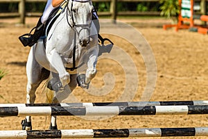 Horse Rider Unidentified Jumping Closeup Abstract Poles