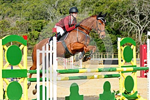 Equestrian show jumping the horse