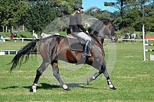 Equestrian sport