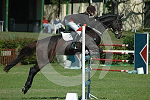 Equestrian sport