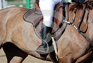 Equestrian sport in details. Sport horse and rider on gallop