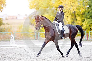 Equestrian sport event at fall with copy space