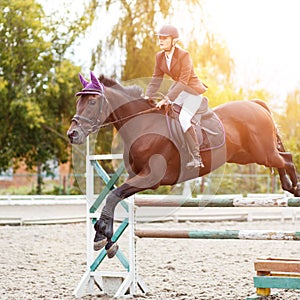 Equestrian sport image. Show jumping competition