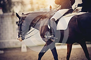 Equestrian sport.The leg of the rider in the stirrup, riding on a black horse