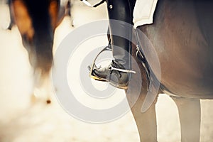 Equestrian sport. The leg of the rider in the stirrup, riding on a horse