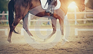 Equestrian sport. The leg of the rider in the stirrup, riding on a red horse