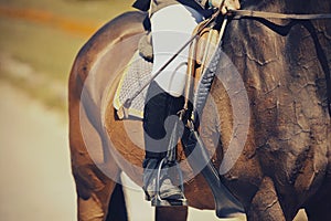 Equestrian sport. The leg of the rider in the stirrup, riding on a red horse