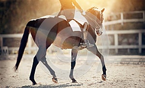 Equestrian sport. The leg of the rider in the stirrup, riding on a red horse