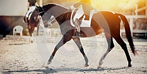 Equestrian sport. The leg of the rider in the stirrup, riding on a red horse