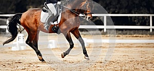 Equestrian sport. The leg of the rider in the stirrup, riding on a red horse