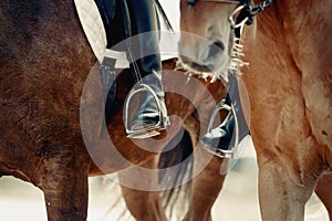 Equestrian sport. Portrait sports brown stallion in the double bridle. The leg of the rider in the stirrup, riding on a red horse