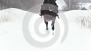 Equestrian sport - rider woman on horse galloping in snowy field