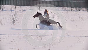 Equestrian sport - rider woman on horse galloping in snowy field