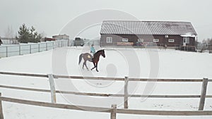 Equestrian sport - rider woman on horse walking in snowy outdoor. Rider on a horse, winter walk.