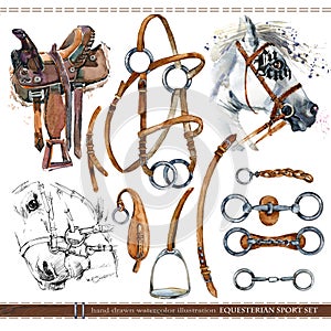 Equestrian sport set. harness horse watercolor illustration.