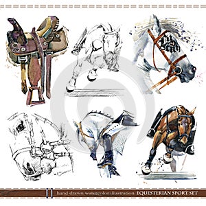 Equestrian sport set. harness horse watercolor illustration.