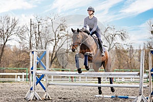 Equestrian sport. Show jumping competition. Young rider horseback girl jumping over an obstacle