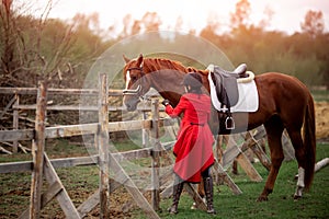 Equestrian sport Woman jockey holding horse by bridle outdoors