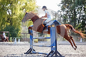 Equestrian sport. Young girl jumping over obstacle