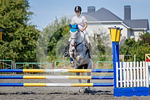 Equestrian sport. Young girl jumping over obstacle