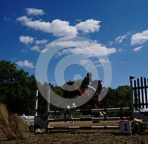 Equestrian sport - a young girl is riding a horse